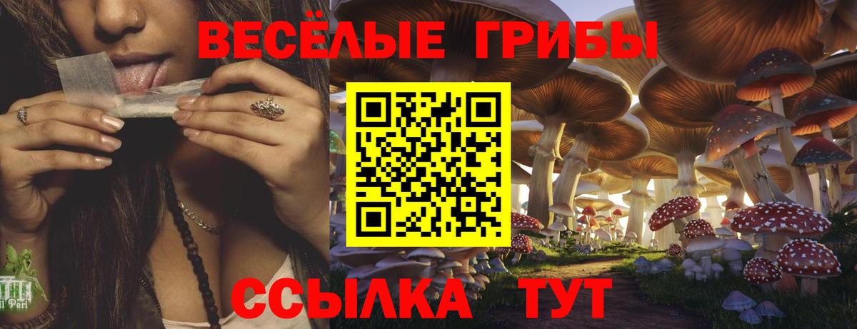 Волжск  Псилоцибиновые грибы Magic Shrooms  купить   Вход с VPN 