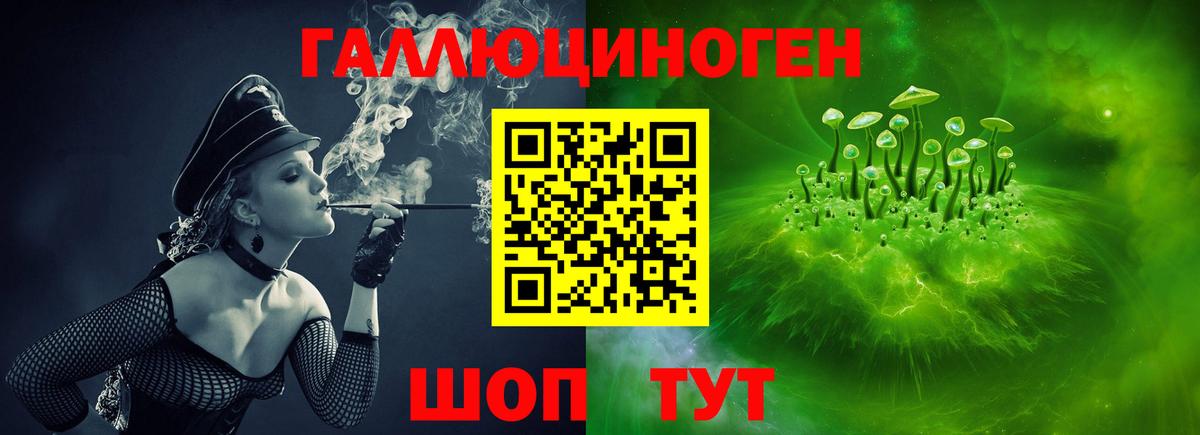 Псилоцибиновые грибы GOLDEN TEACHER Волжск